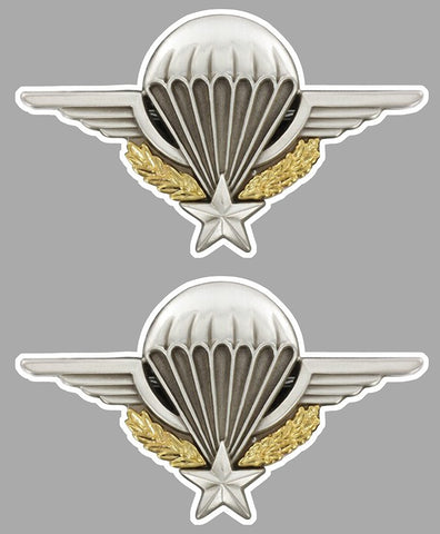 Lot 2 X BREVET Pare-brise PE020