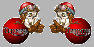 2 X TRIUMPH SKULL TA054