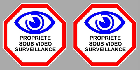 2 x VIDEO SURVEILLANCE VA100