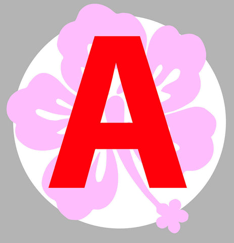 A LIMITE JEUNE CONDUCTEUR AA135