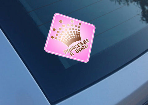 PRINCESSE A BORD PB487