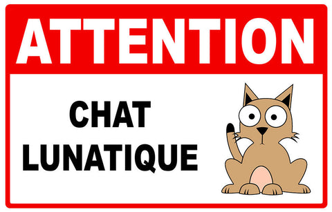 ATTENTION CHAT LUNATIQUE AA202