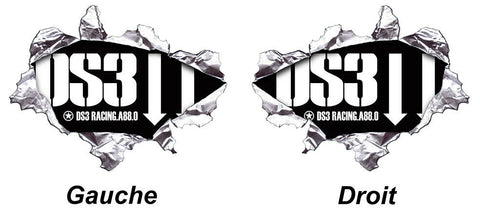 2 X DS3 CITROEN RACING DA131