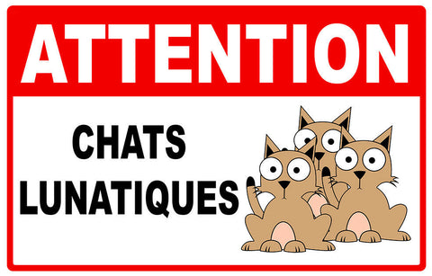 CHATS LUNATIQUES AA203