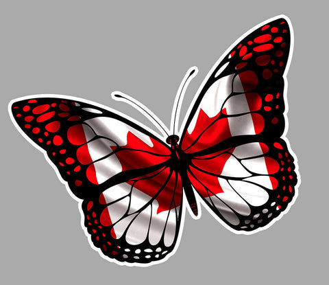 PAPILLON CANADIEN PAP004