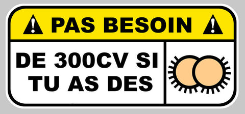 ATTENTION 300CV HUMOUR PB493