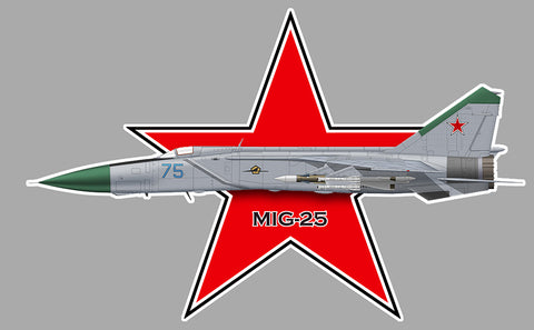 MIG 25 AV085