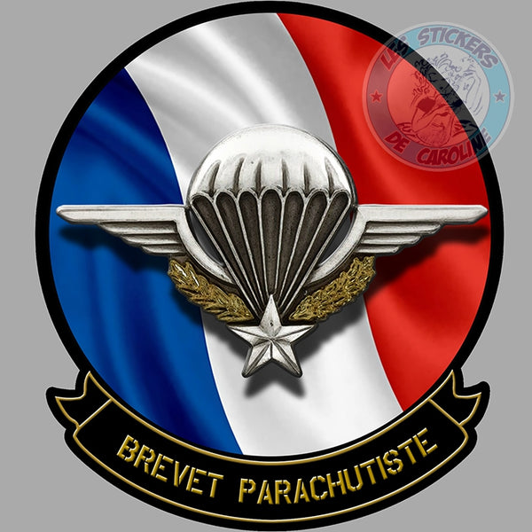 Insigne Brevet Parachutiste Français - Armée De L'air - Occasion