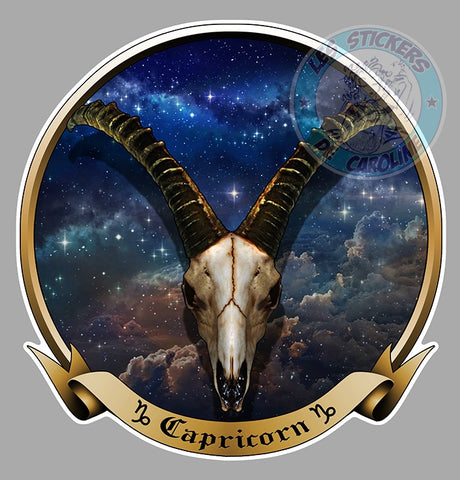 CAPRICORNE ASTROLOGIE CD131