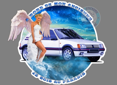 205 PEUGEOT PINUP DB097