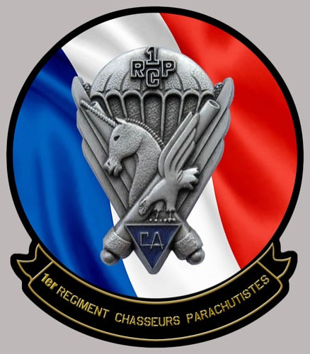 INSIGNE TISSU LOSANGE DE BRAS MOD.45 , 9° R.C.P CHASSEURS PARACHUTISTES