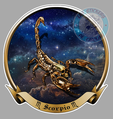 SKULL SCORPION ASTROLOGIE SD059
