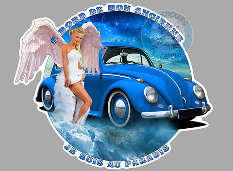 ANGE COCCINELLE COX VB006