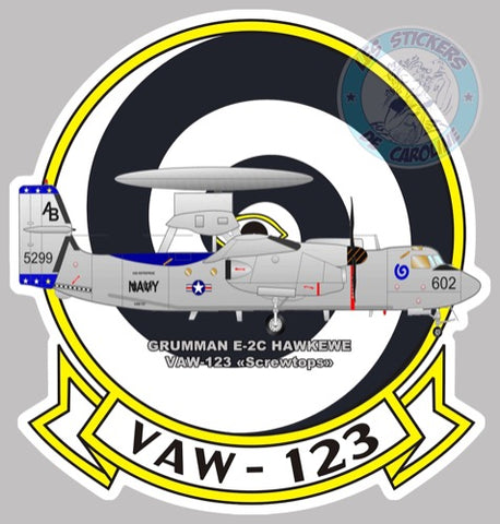 VAW-123 NAVY VZ016
